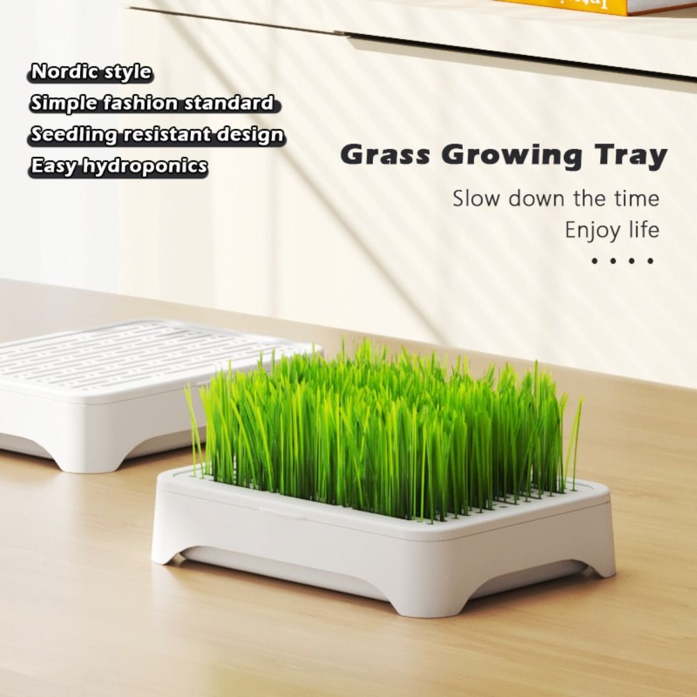 Hydroponic Grow Pod - プラスチック水耕栽培トレイ 自植え 再利用可能 猫草苗ポット 多機能成長プランター ガーデン用品