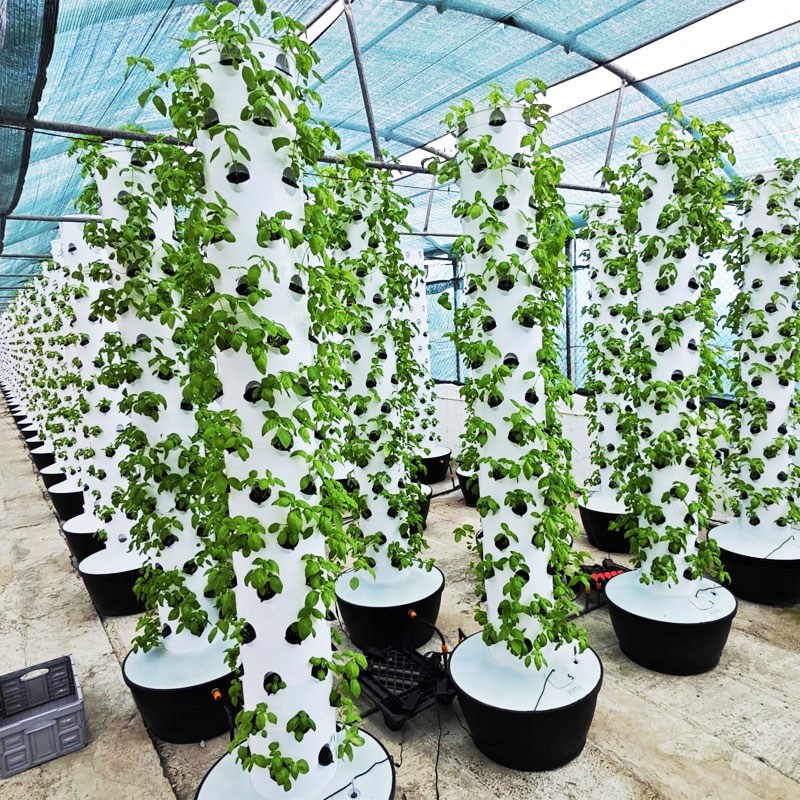 Hydroponic Tower - 高品質簡単設置小型垂直水耕栽培タワー栽培システム温室用自動水循環式-低価格