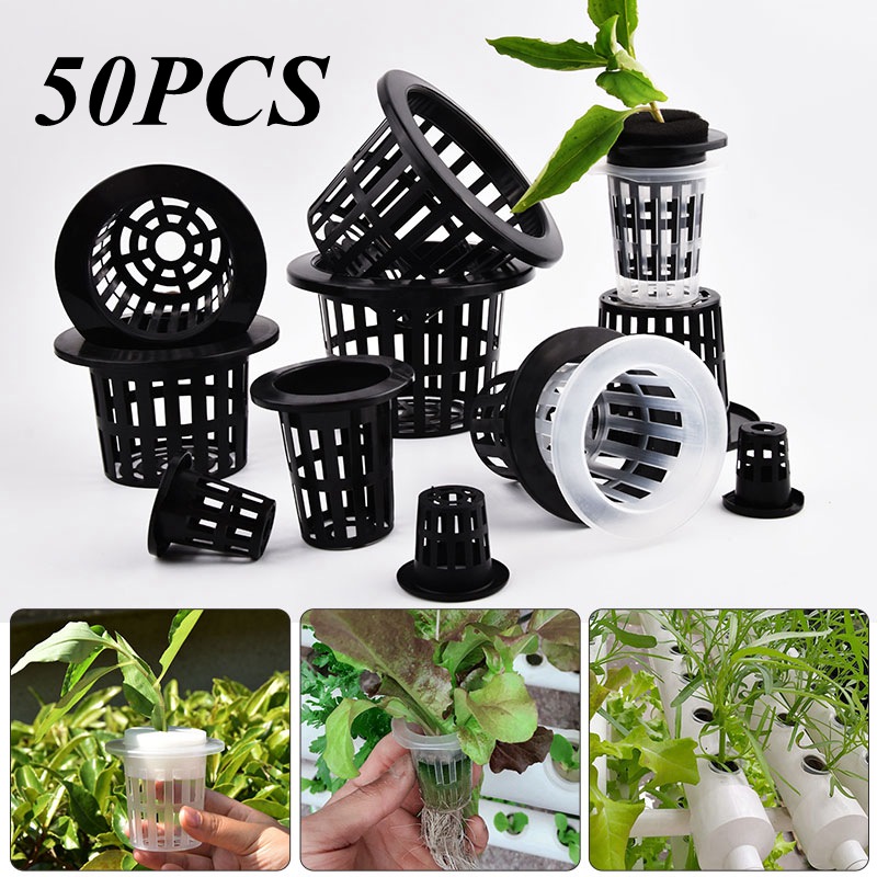 Hydroponic Grow Pod - 50個入り黒白土を使わないメッシュ植物育成ポット、ネットバスケットホルダー、野菜育苗カップトレイ、スポンジ水耕栽培ポット