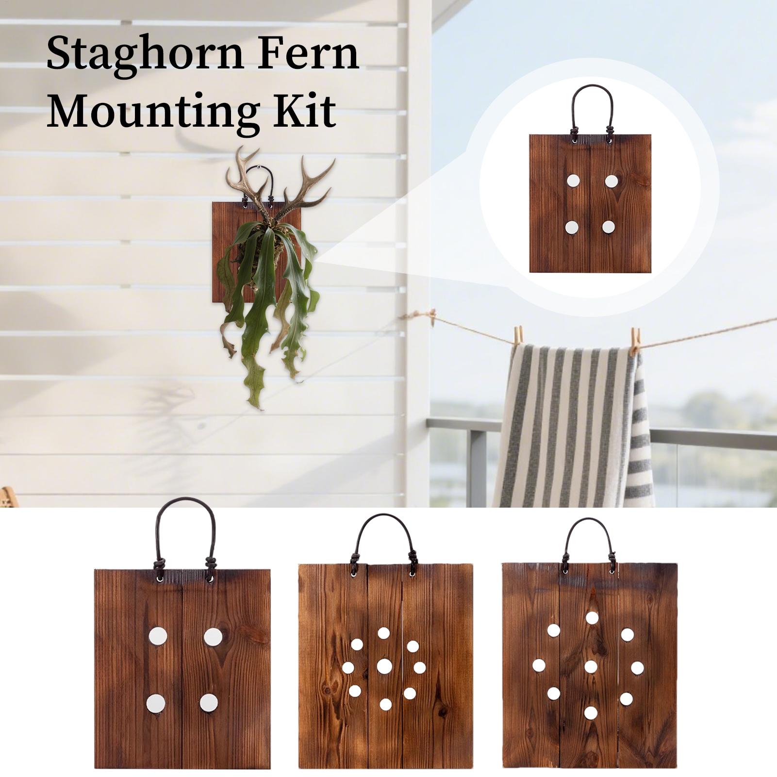 Indoor Garden Kit - スタッグホーンファーン壁掛けボード木製プランターキット（金具付き）ファームハウススタイルのリビングウォールプランター（屋内パティオガーデン用）