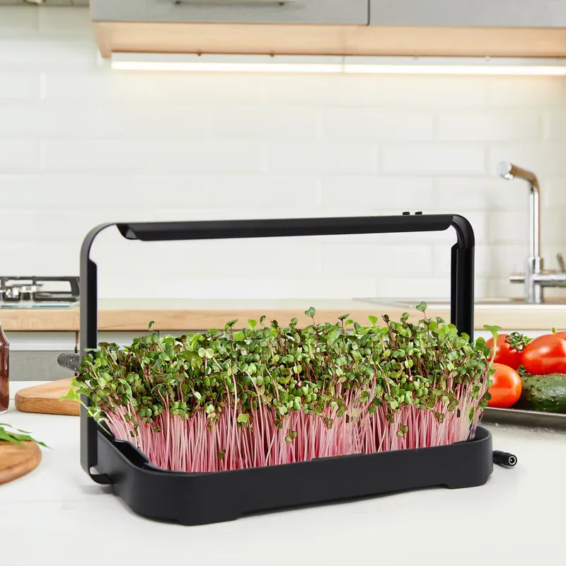 Smart Garden Kit - 水耕栽培トレイ 室内マイクログリーン マイクログリーン種子 発芽栽培システム 家庭菜園キット スマートプランター