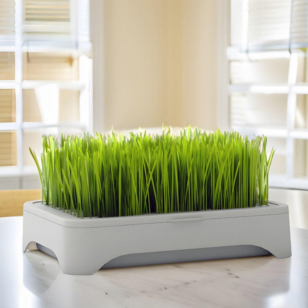プラスチック水耕栽培トレイ 自植え 再利用可能 猫草苗ポット - Hydroponic Grow Pod のレビューと価格