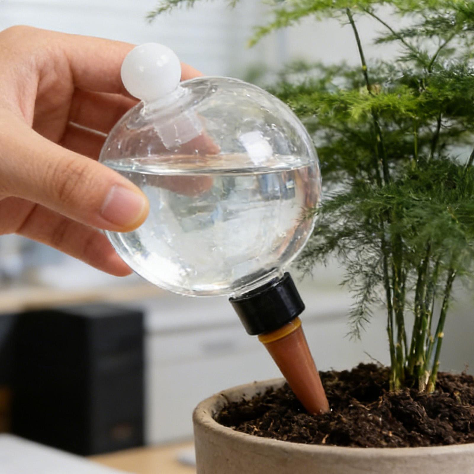 植物散水用ボール 4個入り 500ml 透明自動給水グローブ - Plant Sensor のレビューと価格