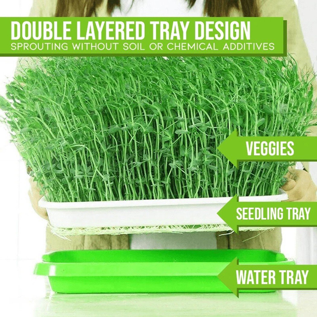 マイクログリーンスプラウタートレイ水耕/スプラウト園芸水耕シ - Hydroponic Grow Pod のレビューと価格