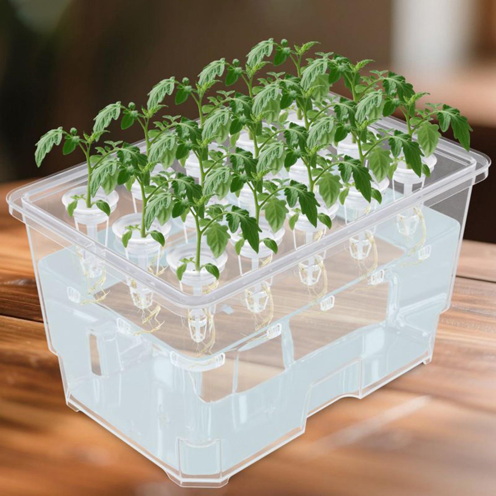 室内水耕栽培システム　発芽15ポッド　発芽プランター　室内水 - Hydroponic Grow Pod のレビューと価格