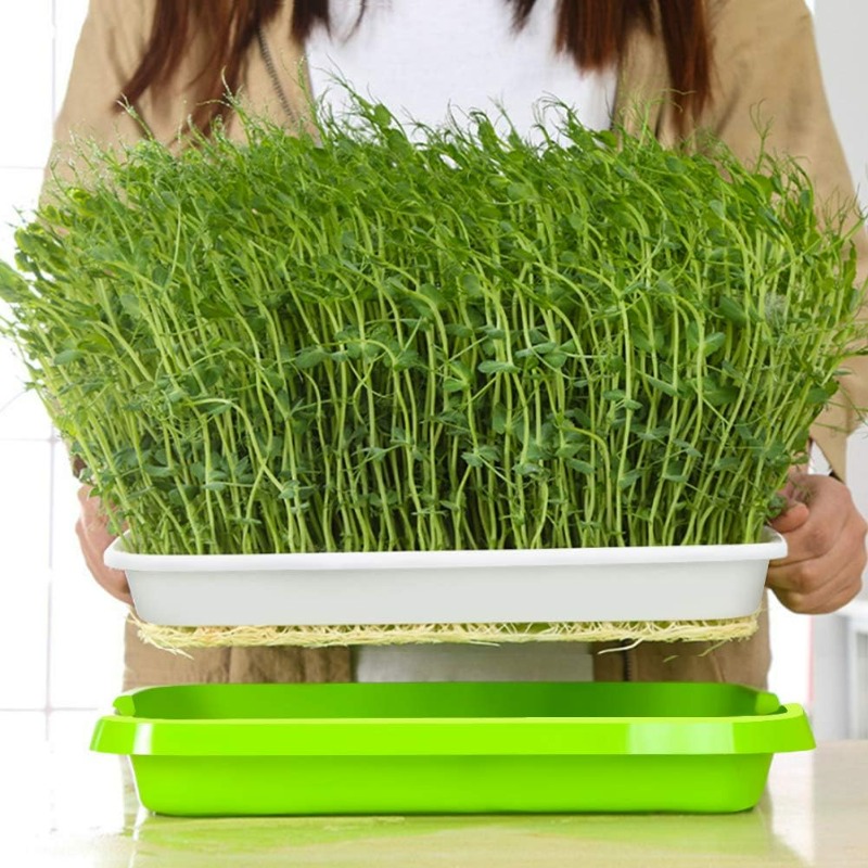 マイクログリーン発芽トレイ、二層式発芽トレイ、水耕栽培トレイ - Hydroponic Grow Pod のレビューと価格