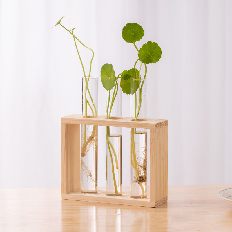 水耕植物コンテナ木製フレーム透明ガラス試験管花瓶植木鉢ホーム - Hydroponic Grow Pod のレビューと価格