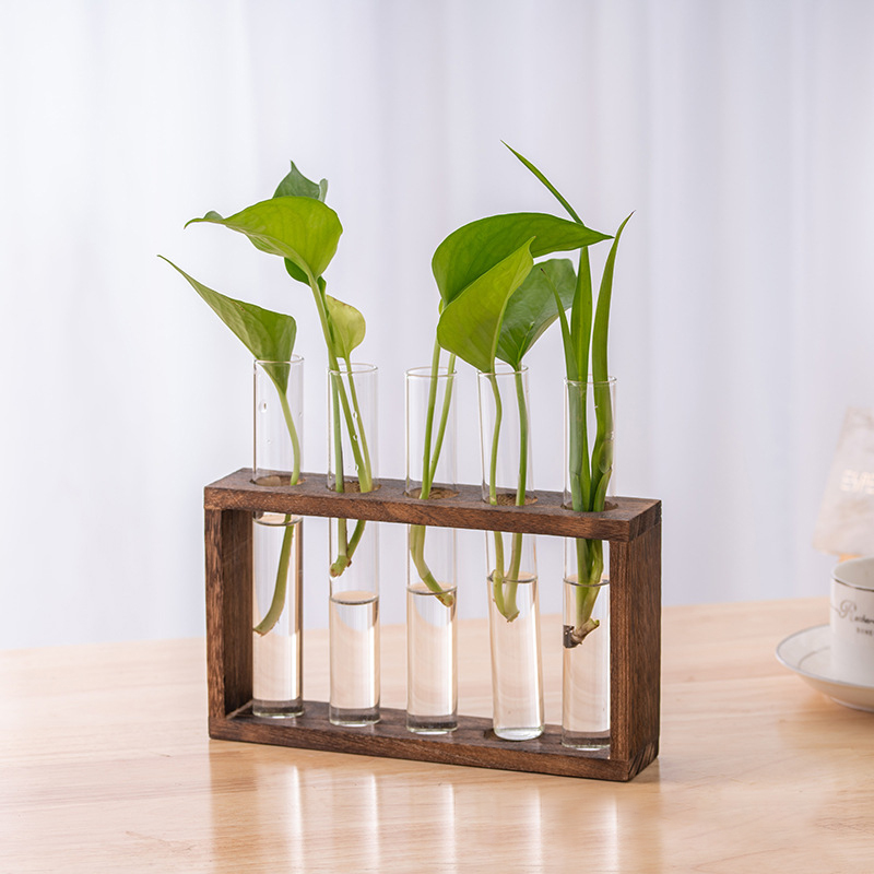 水耕植物コンテナ木製フレーム透明ガラス試験管花瓶植木鉢ホーム - Hydroponic Grow Pod のレビューと価格